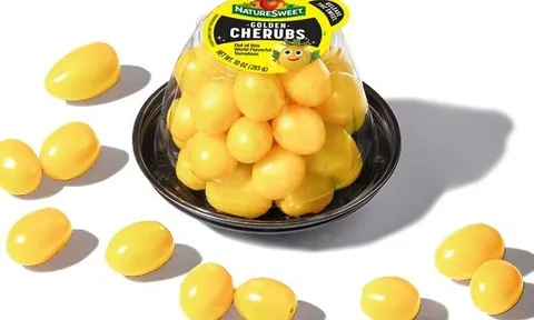 Cà chua nho vàng Golden Cherubs gia nhập phân khúc thực phẩm ăn nhẹ cao cấp