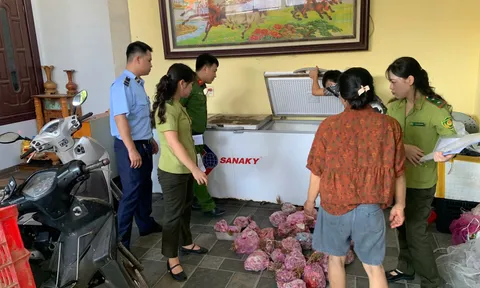 Thanh Hóa: Phát hiện, thu giữ 290 cá thể cò hương đã sơ chế, cấp đông chờ tiêu thụ