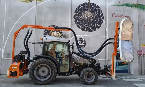 Tỉa lá: Chìa khóa nâng cao chất lượng nông sản