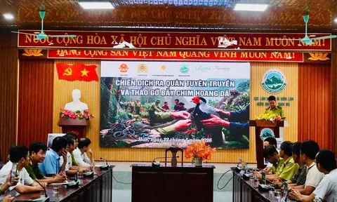 Nâng cao nhận thức trong cộng đồng về bảo vệ môi trường sống của những đàn chim hoang dã