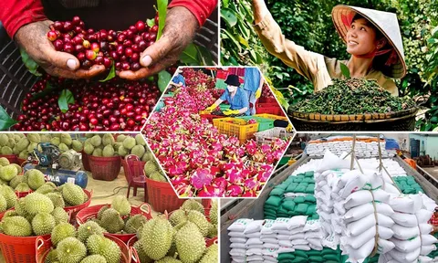 Tiêu chí đánh giá, phân hạng sản phẩm OCOP