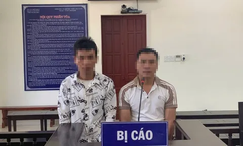Xét xử vụ phá rừng Pù Luông: Lời cảnh tỉnh nghiêm khắc với hành vi xâm hại rừng đặc dụng