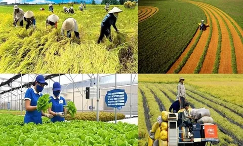 Phát triển hệ thống tiêu chuẩn kỹ thuật cho trồng trọt giảm phát thải: Điều kiện thúc đẩy nông nghiệp sinh thái