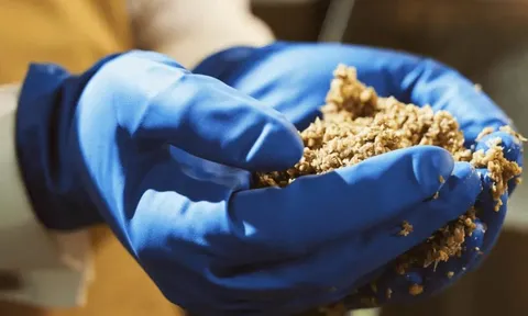 Canada: Tái sinh bã bia thành protein và nguyên liệu thực phẩm giá trị cao