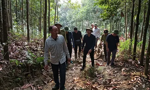Nắng nóng kéo dài, xã Phúc Lợi (Lào Cai) chủ động các phương án phòng cháy rừng