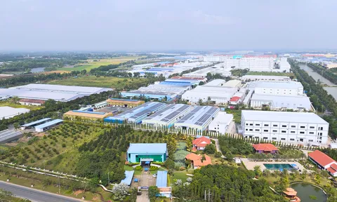 Tập đoàn TTC được vinh danh Top 10 Doanh nghiệp phát triển Bất động sản Công nghiệp hàng đầu Việt Nam