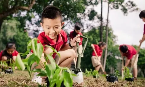 Những hành động nhỏ tạo nên sự thay đổi lớn