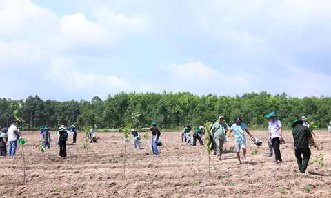 Chung tay phục hồi rừng tại vùng đệm hồ Dầu Tiếng