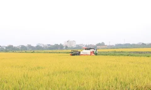 Khẩn trương hoàn thiện Bộ tiêu chí xã nông thôn mới giai đoạn 2026- 2030