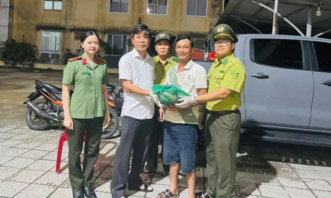 TP Huế liên tục tiếp nhận các cá thể động vật quý hiếm từ người dân bàn giao