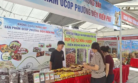 Xúc tiến thương mại Điện Biên 2026: Tạo cơ hội để sản phẩm OCOP vươn ra thị trường lớn
