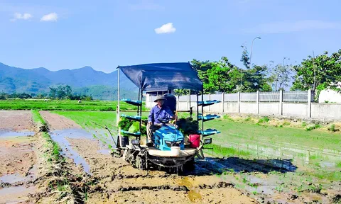 Hướng đi bền vững cho người nông dân từ mô hình canh tác giảm phát thải