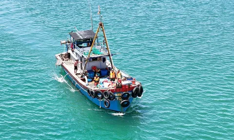 Bộ đội Biên phòng thành phố Huế xử lý hai tàu cá vi phạm vùng khai thác