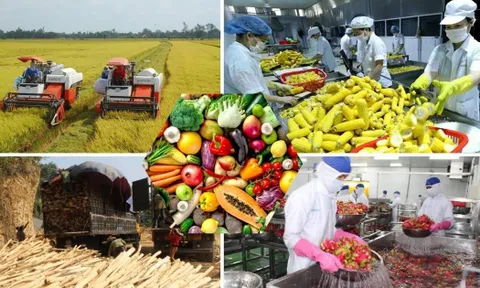 Điểm sáng kinh tế: Nông nghiệp xuất siêu 8,41 tỷ USD