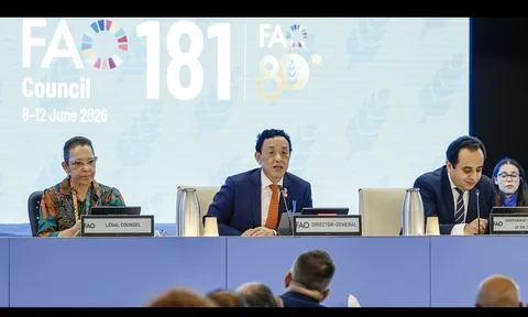 FAO cảnh báo nguy cơ 'sốc phân bón' toàn cầu từ khủng hoảng eo biển Hormuz