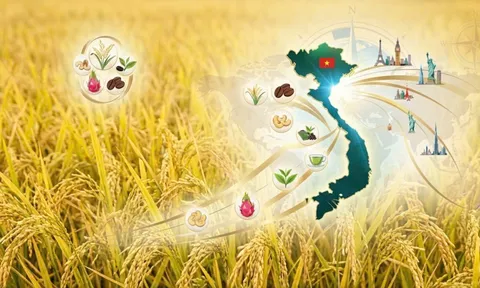 Khát vọng vươn xa của nông sản Việt: Hành trình mang tên tiêu chuẩn