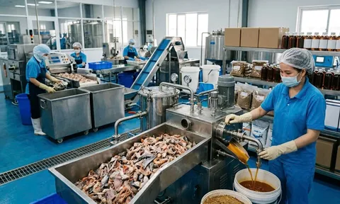 Chiến lược thâu tóm lợi nhuận từ nguồn phụ phẩm trong ngành chế biến thủy sản