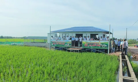 Phát triển nông nghiệp hữu cơ trở thành xu thế tất yếu, góp phần bảo vệ môi trường