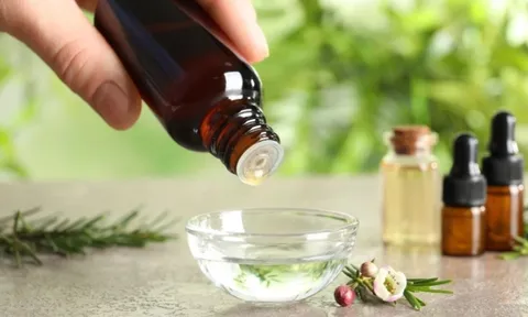 Tự làm dung dịch xua muỗi từ thảo mộc trong vườn nhà