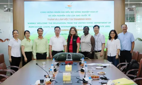 ThaiBinh Seed thúc đẩy hợp tác với USDA và IRRI phát triển nông nghiệp bền vững