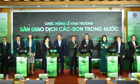 Việt Nam chính thức khai trương Sàn giao dịch carbon, mở ra chương mới cho kinh tế xanh