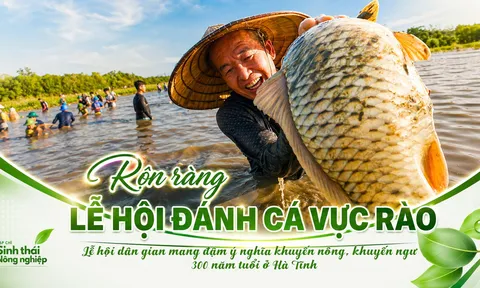 Bắt cá Vực Rào – Lễ hội mang đậm nét đẹp văn hóa con người Hà Tĩnh