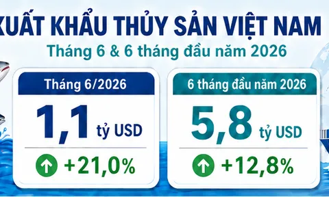 Đạt 5,8 tỷ USD, xuất khẩu thủy sản 6 tháng đầu năm 2026 duy trì tăng trưởng nhưng áp lực chi phí, thị trường và logistics còn lớn