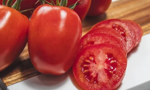 Cà chua chín cây Rocco Reds: Khi hương vị nguyên bản được giới chuyên gia quốc tế công nhận