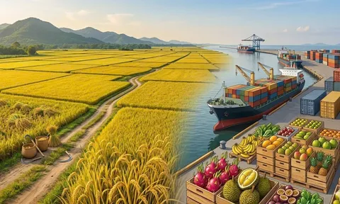 Những điểm sáng của ngành nông nghiệp 6 tháng đầu năm 2026: An ninh lương thực đảm bảo, xuất khẩu tăng tốc
