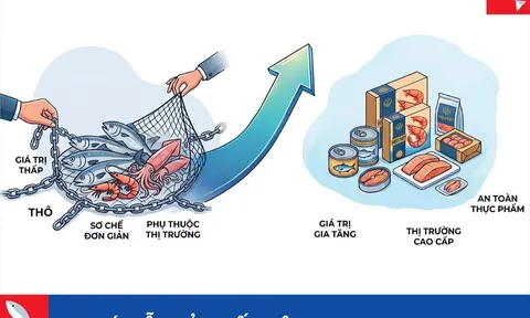 Thoát bẫy xuất khẩu thô giá rẻ: Bước chuyển mình nghìn tỷ của ngành thủy sản Việt Nam