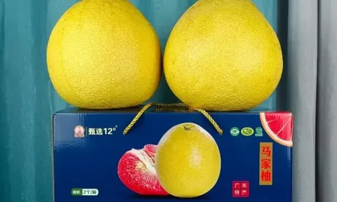 Lội ngược dòng từ nợ nần, 'Anh Bưởi' xây dựng đế chế 3 nghìn tỷ từ đặc sản quê hương