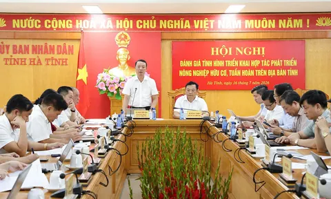 Hà Tĩnh: Phát huy hiệu quả mô hình nông nghiệp hữu cơ Quế Lâm hướng tới nền nông nghiệp xanh bền vững