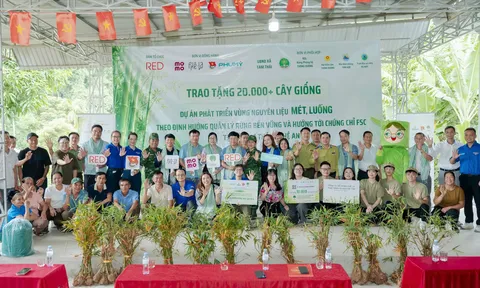 Khởi động dự án phát triển vùng nguyên liệu mét, luồng theo hướng quản lý rừng bền vững tại Nghệ An