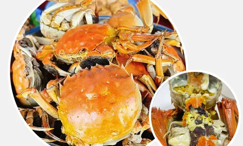 Từ hai bàn tay trắng và món nợ tiền tỉ xây dựng nên 'đế chế' cua hồ Quân Sơn