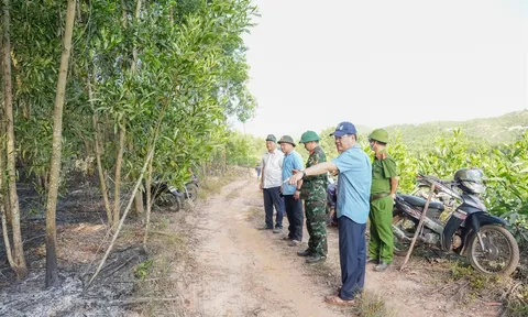 TP Huế: Kịp thời khống chế nhiều đám cháy rừng liên tiếp