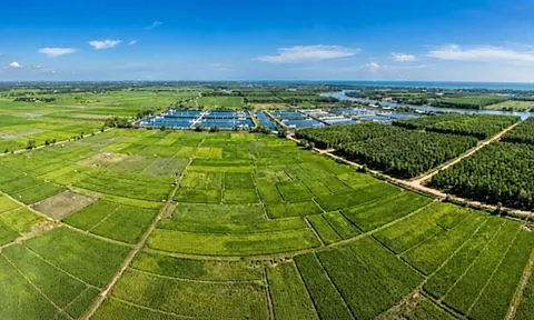 7 tháng đầu năm 2026: Nông nghiệp vững vàng trước biến động, tiếp tục là trụ đỡ của nền kinh tế