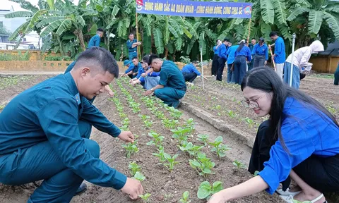 Đồng hành cùng sắc áo quân nhân