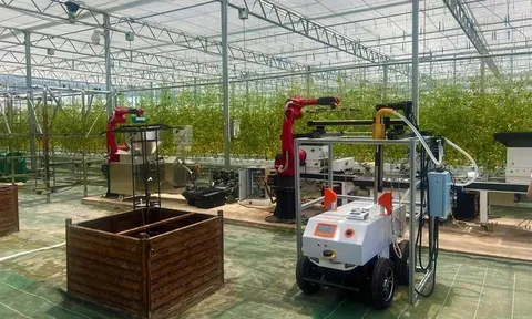 Cách một số vùng tại Trung Quốc đưa trí tuệ nhân tạo vào vận hành bộ máy sản xuất nông nghiệp