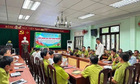 TP Huế: Nâng cao hiệu quả phòng ngừa, hạn chế đến mức thấp nhất thiệt hại do cháy rừng