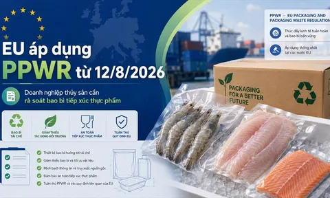 PPWR chính thức áp dụng tại EU: Doanh nghiệp thủy sản cần lưu ý gì từ 12/8/2026?