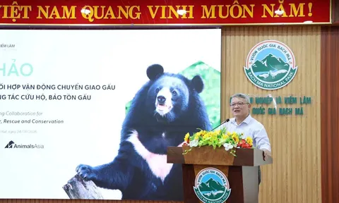 Cùng chung tay để chấm dứt tình trạng nuôi nhốt gấu tại Việt Nam