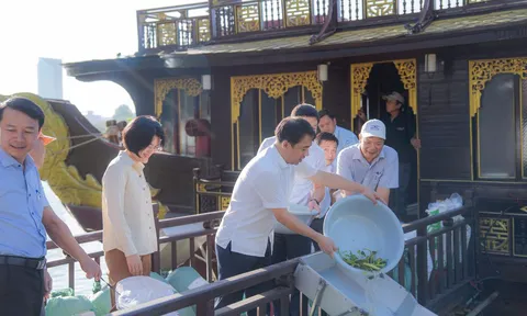 TP Huế thả hơn 300.000 con giống tái tạo nguồn lợi thủy sản duy trì đa dạng sinh học trên sông Hương