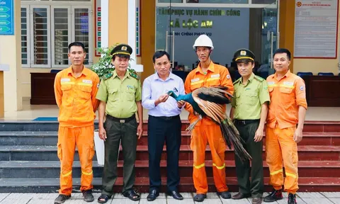 TP Huế: Phát hiện kịp thời, bàn giao cá thể công Ấn Độ cho cơ quan chức năng