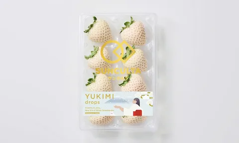 Chọn giống không GMO: Cuộc đua tốc độ của Culta dựa trên dữ liệu lớn và quy luật tự nhiên