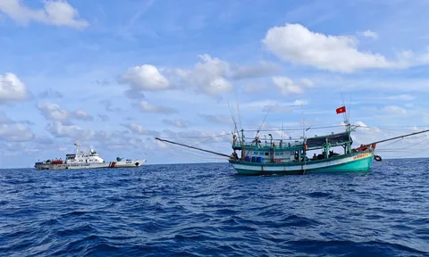 Gỡ 'thẻ vàng' IUU: Bài toán quản trị bắt đầu từ từng con tàu