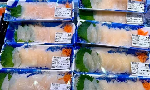 Cleanfood phát triển quy trình nuôi cá rô phi nước lợ cho phân khúc giá trị cao