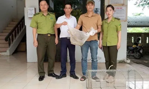 Quảng Trị: Tiếp nhận, cứu hộ 3 cá thể động vật hoang dã quý hiếm