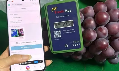 Theo dõi chuỗi làm lạnh qua điện thoại: Bước tiến mới bảo toàn độ tươi cho nông sản trên đường xuất khẩu