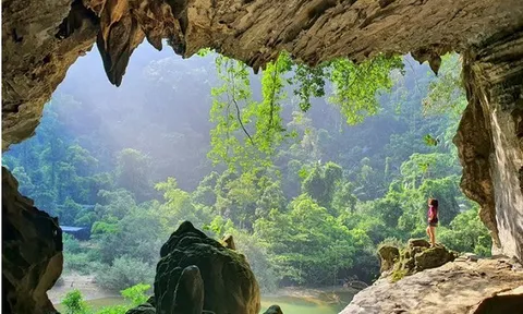 Việt Nam tiếp tục được vinh danh là 'Điểm đến hàng đầu châu Á' và 'Điểm đến di sản hàng đầu châu Á' năm 2026