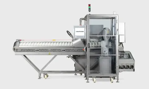 Phân loại 350.000 con mỗi ngày: AI bắt đầu 'bắt lỗi' dị tật trên cá nuôi